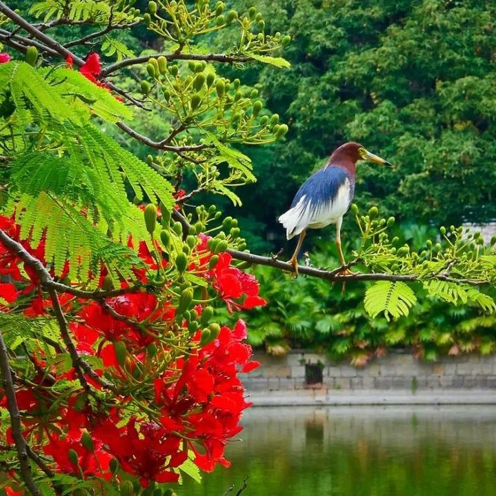 初夏吃什么好？